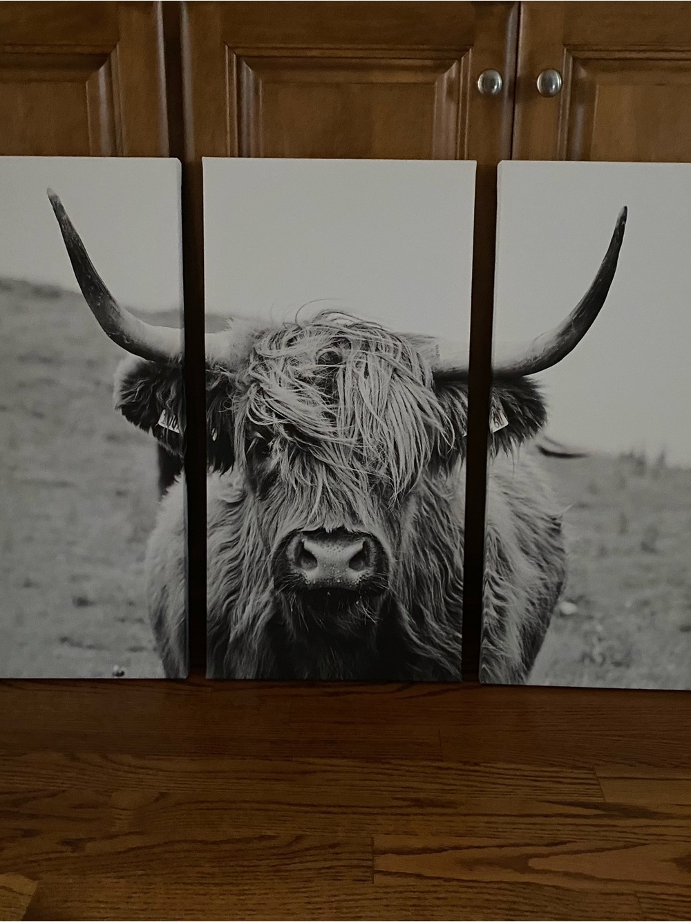 Black & White Highland Cow Triptych Wall Art